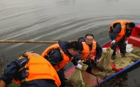 致敬！我院民兵奮戰(zhàn)在抗洪防汛最前線